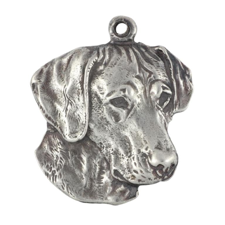 Rhodesian Ridgeback, African Lionhound - Dog necklace in gift box, silver-plated locket for dog fan, striking pendant by Art-Dog brand