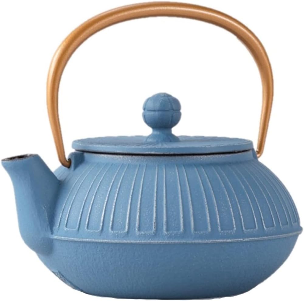 Iwachu Cast Iron Teapot Kyusu Kiku Chrysanthemum Silver Sky Blue 0.65L 22oz Enamel Lined 44350 Iwate Nanbu Tekki Ironware Japan