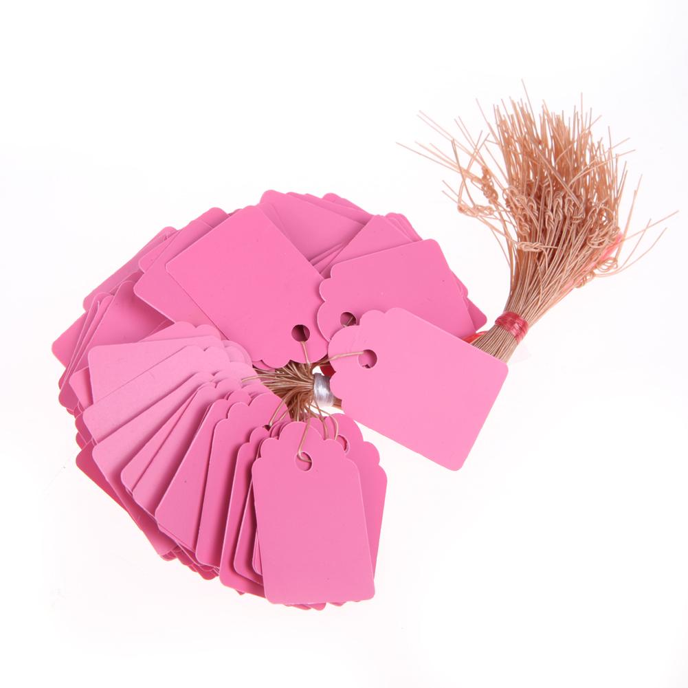 100pcs Garden Plant Labels PVC Nursery Garden Labels Hanging Plant Markers DIY Seedlings Labels for Plants Garden