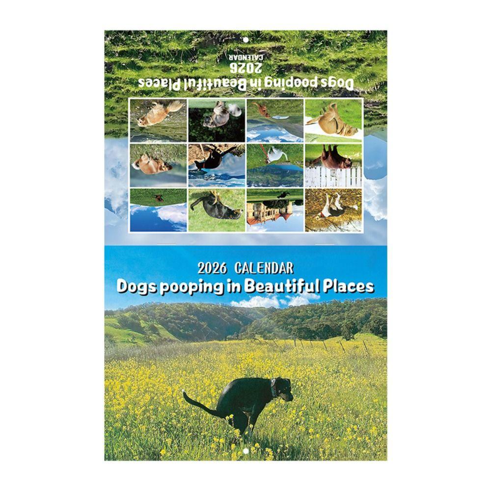 Gag Gift Funny Cat Calendar 12 Monthly Wall Calendar NEW Family Planner Office