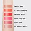 JUNGSAEMMOOL New Classic Glaze Lipstick 2.3g