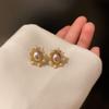 Silver needle light luxury Spice Girl pearl stud earrings temperament retro super flash earrings women's fashion high sense personalized earrings