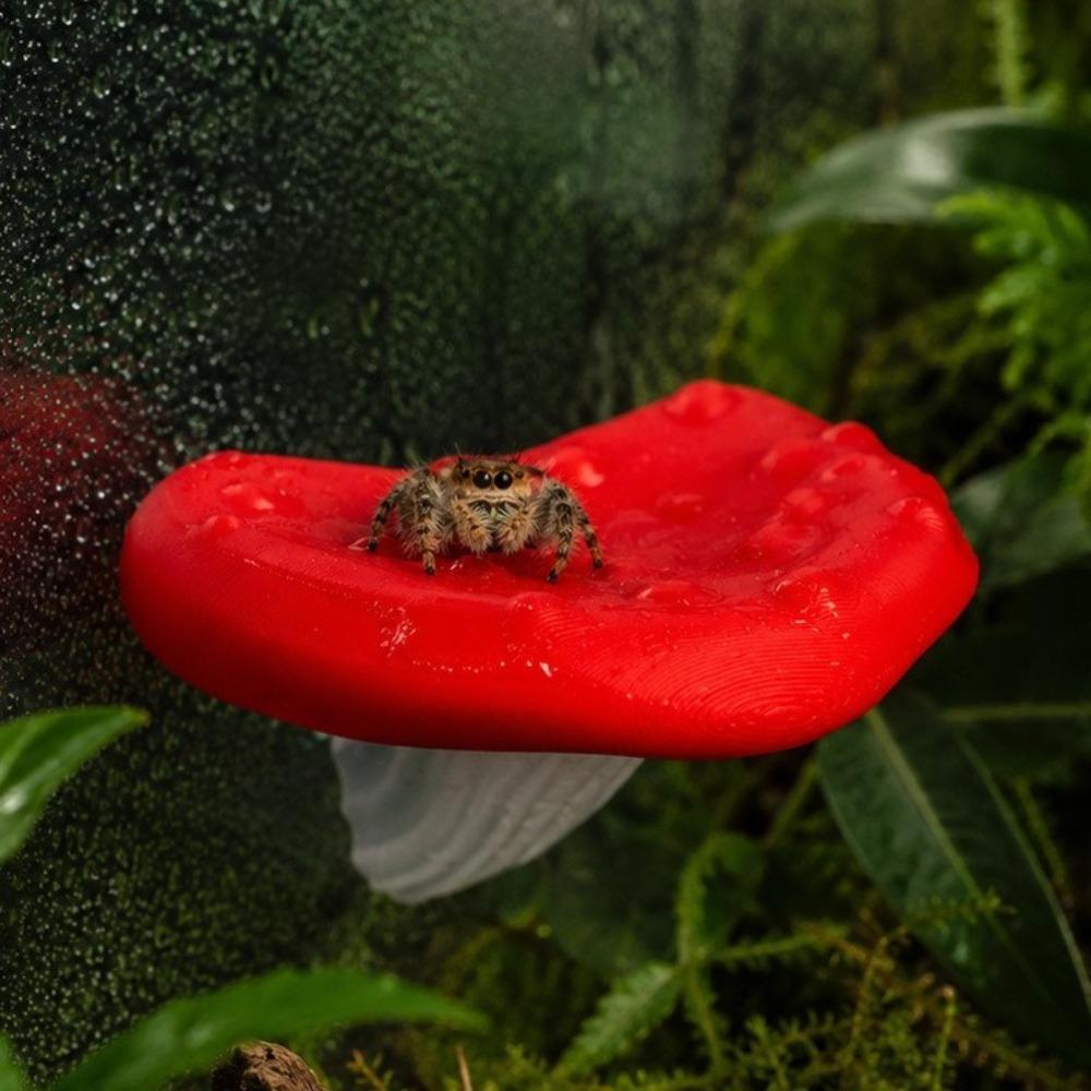 2PCS Plastic Reptiles Avoid Caves Suction Cup Jumping Spider Ledge Small Invertebrate Habitat Frogs