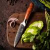 Kitchen Fruit Utility Knife Japanese Damascus VG10 steel,Premium Dalbergia Handle Blade Size 5 Inch Easy Peeling and Sectioning