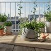 Plastic Irregular Flower Pot Desktop Ornament Plant Container New Flowerpot  Indoor Decor