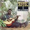CD MUDDY WATERS - Muddy, Brass & The Blues CHD9286 Шахматы 1989 США Блюз Б/у