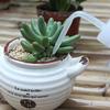 250Ml Water Beak Pouring Kettle Tool Succulents Plant Flower Squeeze Bottles