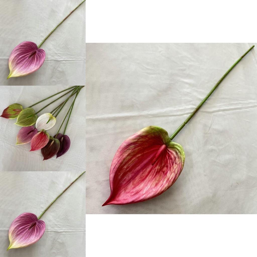 Realistic Faux Anthurium Plant Soft Touch Decoration For Wedding Photography