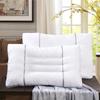 FUANNA Cassia Seed & Cattail Herbal Pillow Pair
