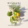Bvlgari Пробник Парфюмированной воды с зеленым чаем