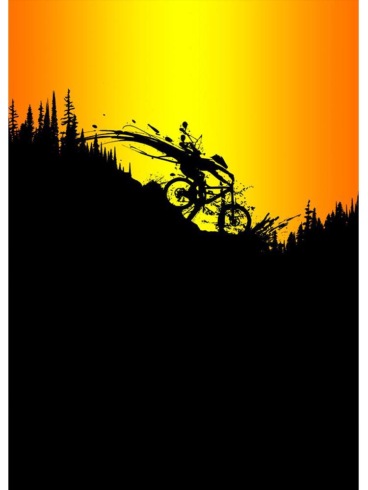 Винтажные плакаты с горным велосипедом, печать на холсте, картина для любителей спорта, настенная художественная картина для гостиной, украшение дома