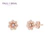 Paul Brial [Silver] Pgse0141 Cineraria Earrings