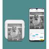 Portable M12 Mini Thermal Printer: Digital Photo & Label Maker, Ideal Children's Gift