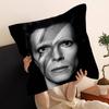 Подушка с принтом горячего певца D-David B-Bowie, чехол для диванной подушки, украшение для дома, детский подарок