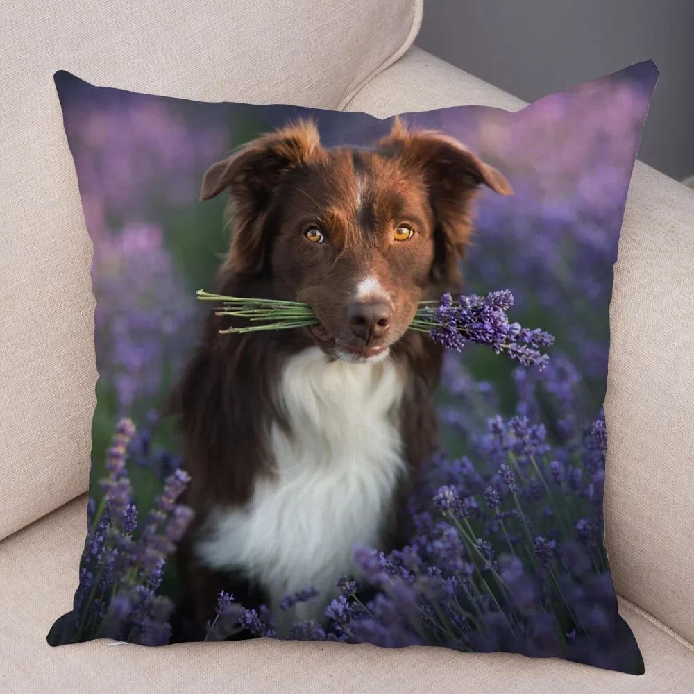 Милый Домашний Питомец Наволочка Шотландия Бордер Колли Наволочка для Дивана Автомобильного Декора Принт Собаки Мягкая Плюшевая Наволочка