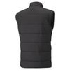 Puma TEAMLIGA men's vest black 65796803 r M