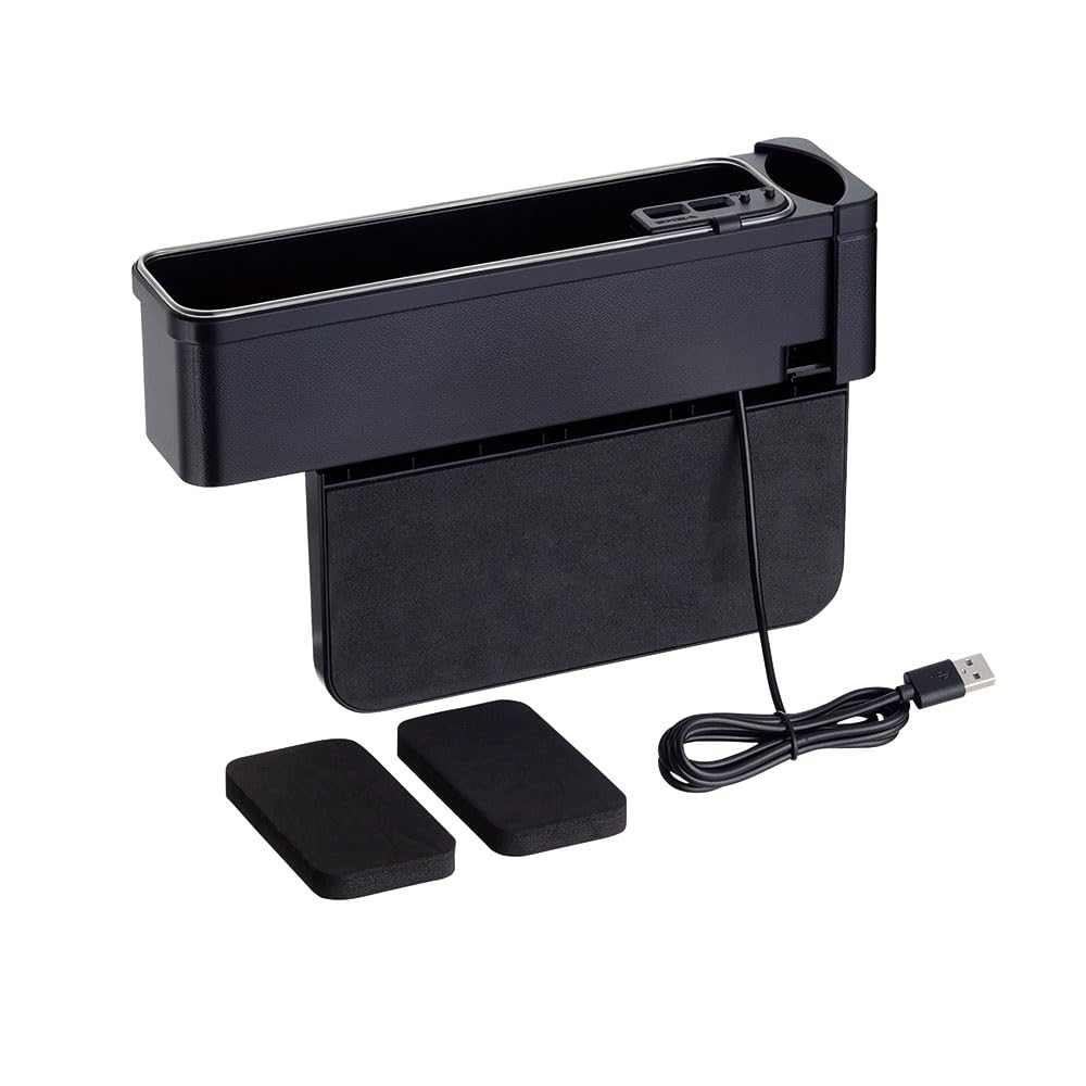 Seiko Sangyo Car Storage Supplies EXEA Illuminated Sheet Organizer Black EE-50