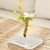 Round Flower Arranger Rectangle Pin Frog Holder Creative Fixed Arranging Tool  Flower Arranging