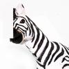 Safari Savannah Zebra Animal Figure 100689
