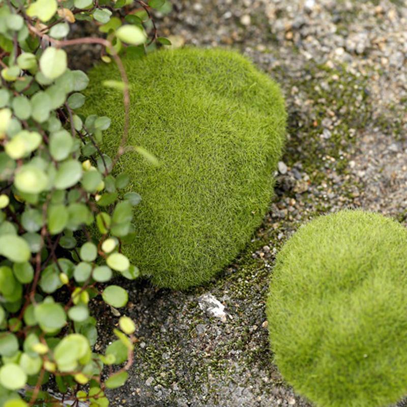 2/4/5/8/10 шт. микропейзаж мох зеленая трава фигурки миниатюрные украшения для мини DIY сказочный сад аквариум моделирование статуя ремесло