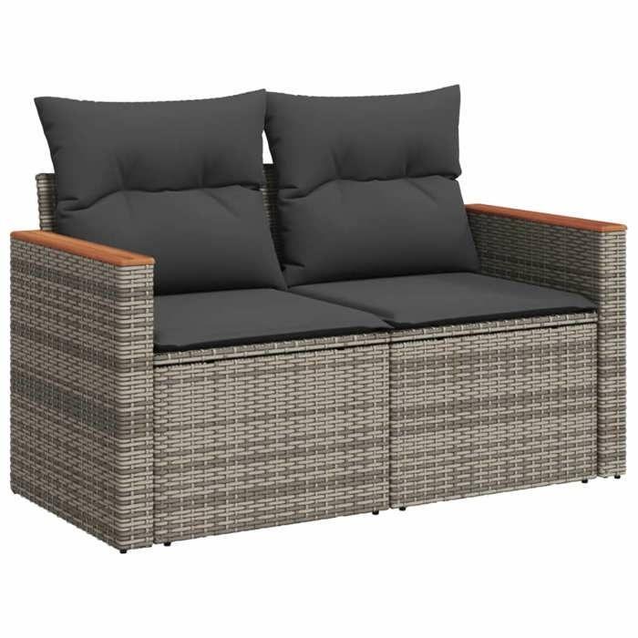 VidaXL Salon de Jardin avec Coussins 9 pcs, Canapés de Terrasse, Ensemble de Meubles de Patio, Mobilier d'Extérieur, Gris 3226053