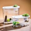 Прозрачный овальный настольный аквариум и украшение для среды обитания черепах