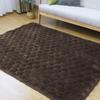 SunshineLife Rug TEIJIN Graphene Insulation Quilted Flannel Warm To the Aluminum Warm Carpet for Fall and Thick Compatible with Underfloor Heating and