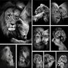 Animals Black And White Lions Love Family Prints Poster Canvas Painting Modern Wall Art Pictures Living Room Bedroom Home Decor