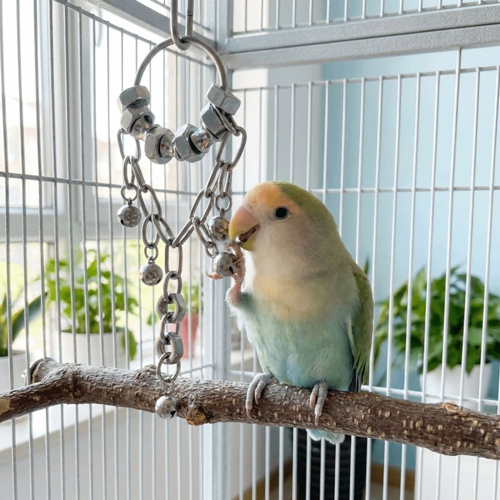 Wear-resistant Metal Bird Chain Bells Toys Bite Resistant Bird Cage Hanging Toy Small Medium Birds