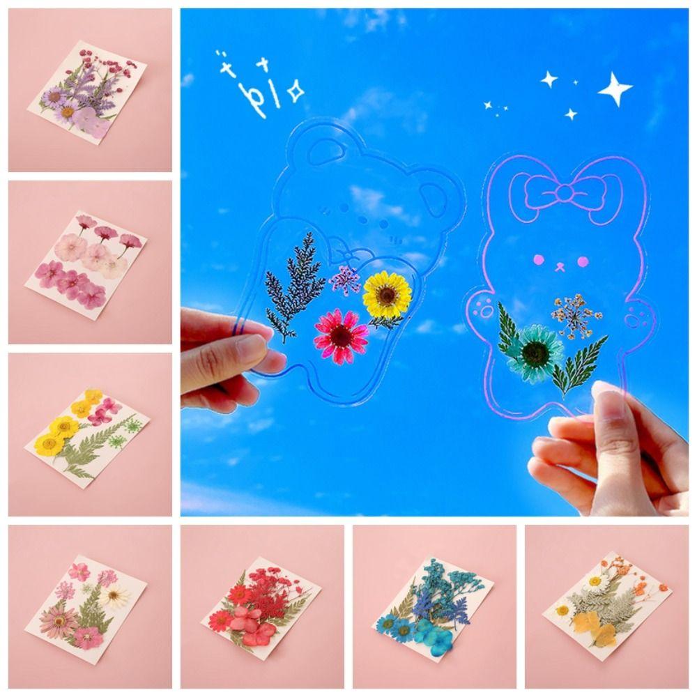 DIY Materials DIY Dried Flower Bookmarks Pressed Flower PET Dried Flower Stickers Handmade Transparent Flower Page Bookmark