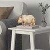 Home Decor Lucky Horned Rhino Statue Table Accent (Pack of 1, Off White)