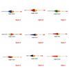 Fashion Fluctuate Slip Drift Tube Mix Size Floats Bobbers Fishing Lure Light Stick Floats Indicator