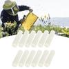 12PCS Queen Bee Cages Plastic Protective Cover Rearing Cup Beekeeper Beekeeping Supplies