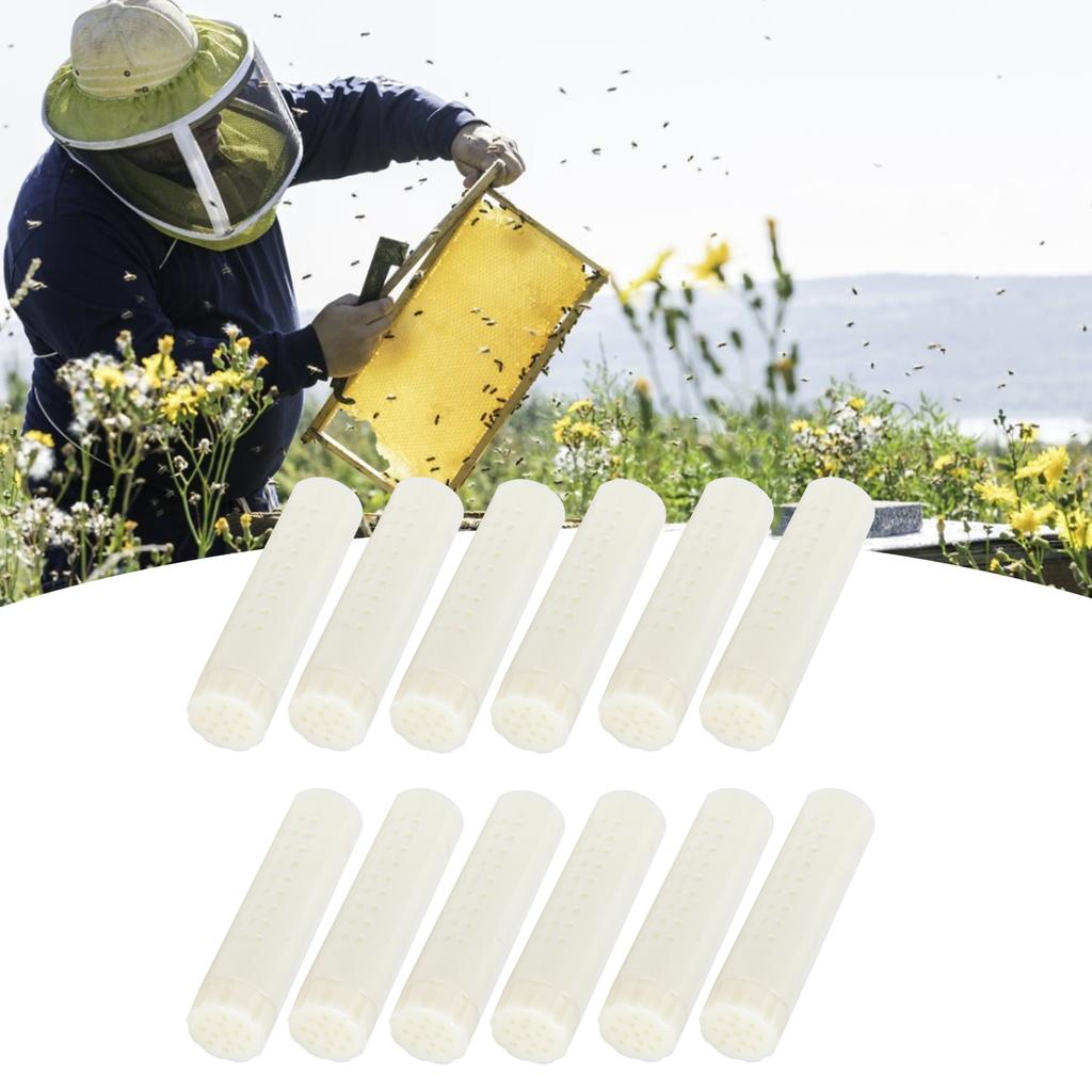 12PCS Queen Bee Cages Plastic Protective Cover Rearing Cup Beekeeper Beekeeping Supplies