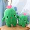 25СМ Милая Растение Кактус Плюшевая Игрушка Зеленый Спящий Утешитель Подушка-Игрушка Растение Кукла Веселый Подарок Для Друзей Подарок На День Рождения Рождественский Подарок