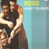 12-дюймовая пластинка INDIGO - Haven't You Heard 12UPHO16 Эйфорический 1999 Великобритания Танцевальная и электронная Б/У