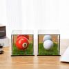 Transparent Golf Ball Display Case Dust Protection Golf Ball Acrylic Box  Collectibles