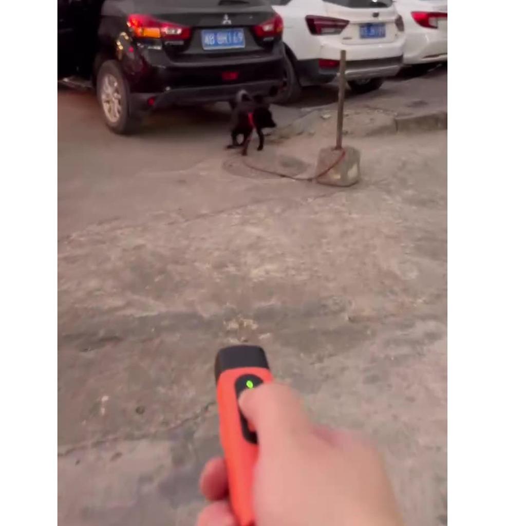 Новый отпугиватель собак со светодиодным дисплеем Устройство для дрессировки против лая 3 головки Ультразвуковой фонарик Высокомощное устройство для дрессировки собак 2025