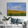 Поле подсолнухов на закате Солнечный пейзаж Художественные постеры Холст Живопись Настенные принты Картины для гостиной Домашний декор Cuadros