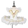 Puffy Kids Ballet Dress Modern Princess Dress Fashion Ballet Tutu  Kids Girls