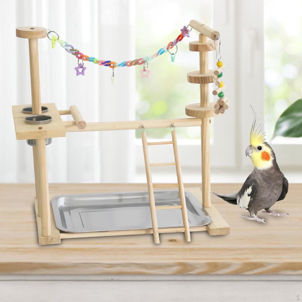 Parrot Playground, Parakeet, Bird Play Stand, Exercise Toy, Gym, Stand for