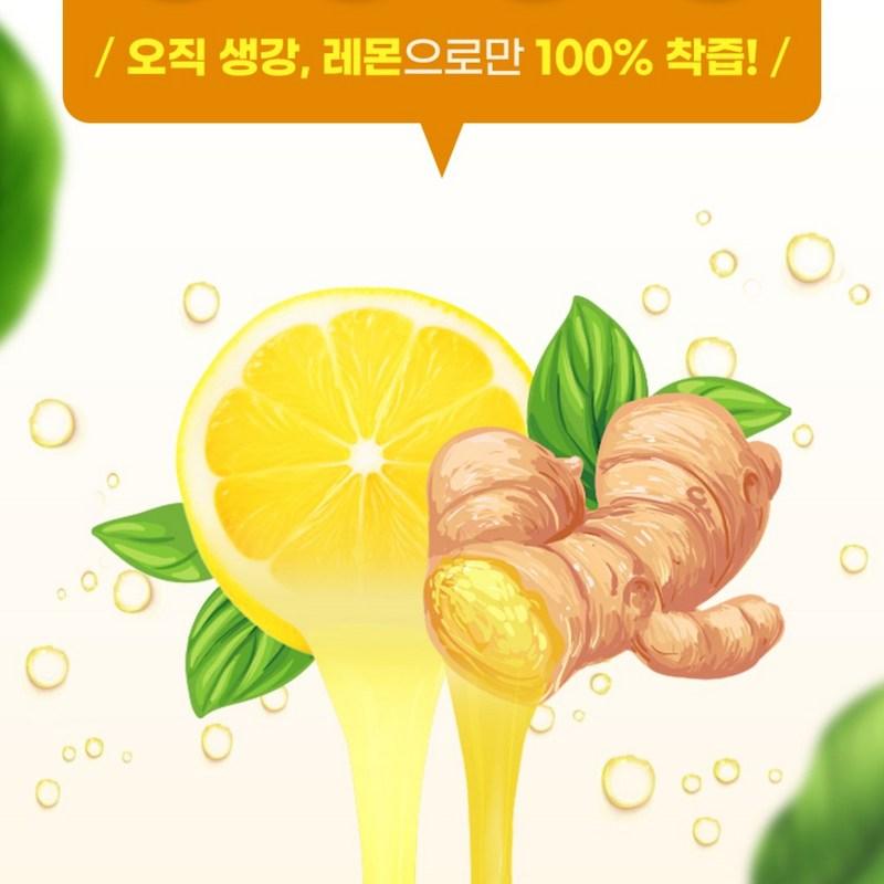 Healthy Routine Organic Lemon Ginger Juice Concentrate 100% Stick, 210g, 1 Piece