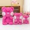 Plush Bear Dudu Toy Cartoon Doll Rose Red Sleeping Companion Girls Gift Birthday