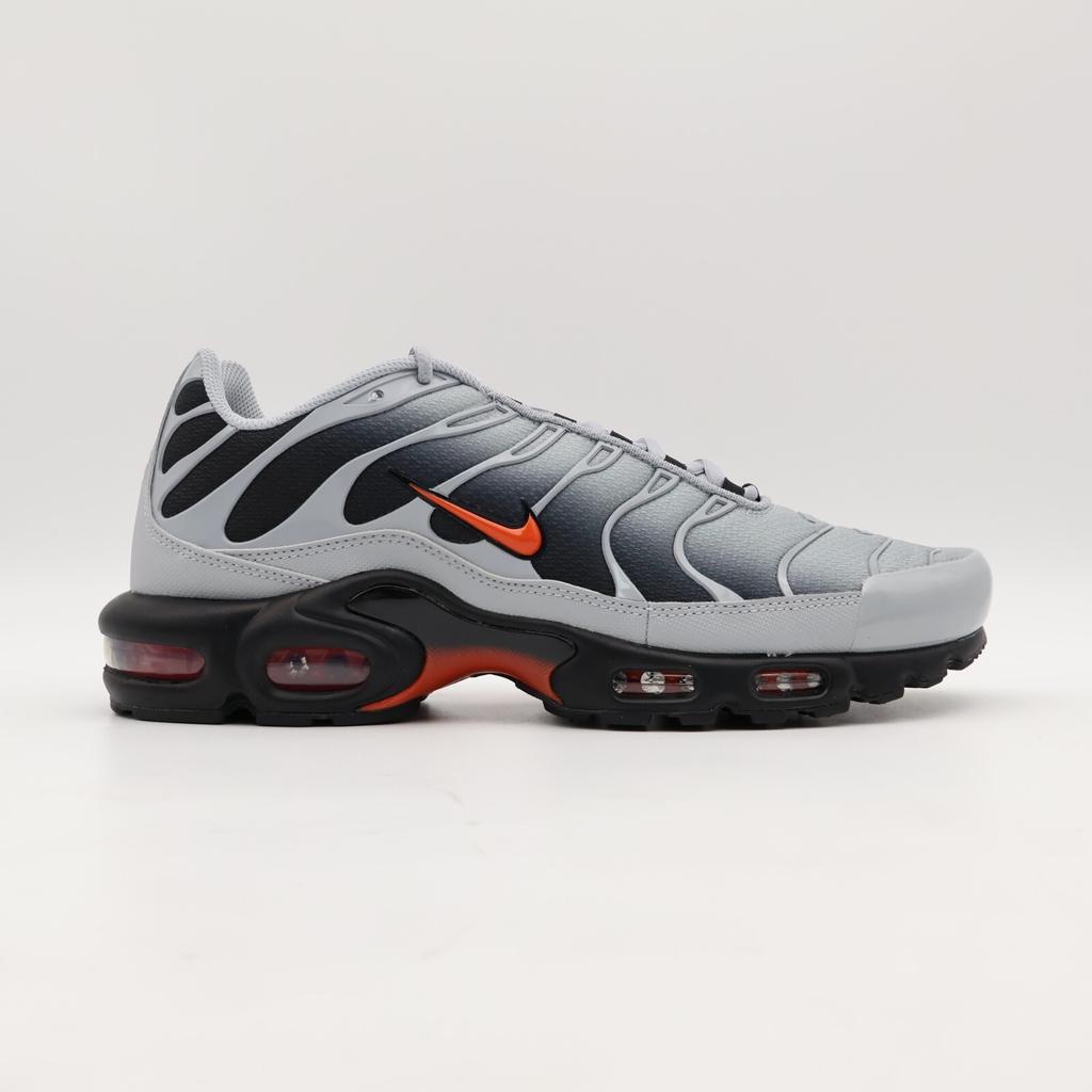 DM0032-011 Nike Air Max Plus Вольф Грей (Мужской)