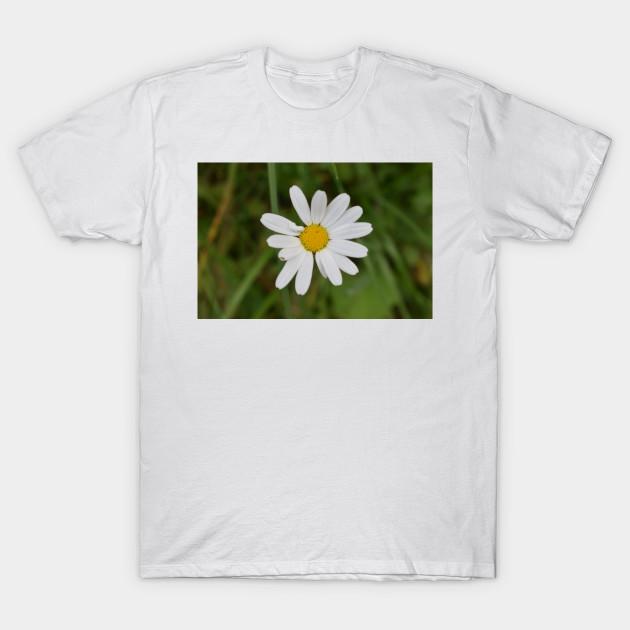 T Shirt Women Real Beautiful Flowers Outside Harajuku Print Kawaii Tshirt Summer Short Sleeve Female T-Shirt Top Tee