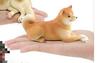 [Nekogamiyama] Shiba Inu Sitting Miniature Figurine Ornament Model Decor Collector's Model