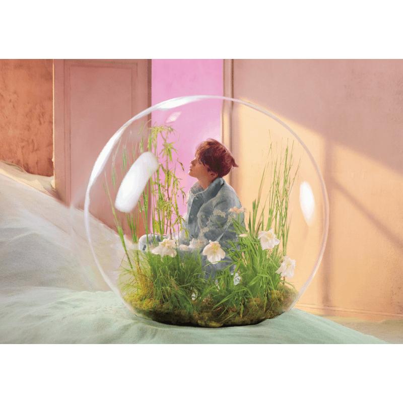 BTS (Бантан Бойз) 3D Открытка Love Yourself 7 участников, фото Чечевицеобразное