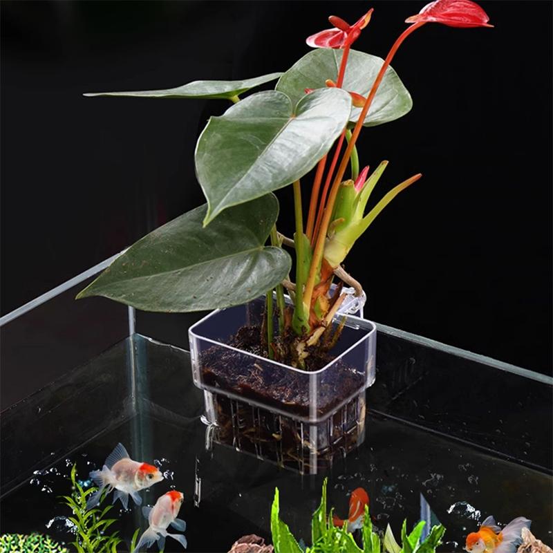 Корзина для посадки аквариума, гидропонная опора, подвесной аквариум, держатель для стакана с водой, настенные цветочные горшки