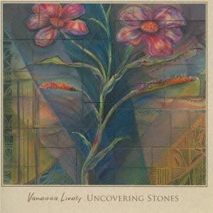 CD ВАНЕССА ЛАЙВЛИ - Uncovering Stones BSMF6019 BSMF Япония ObiFolk Б/у