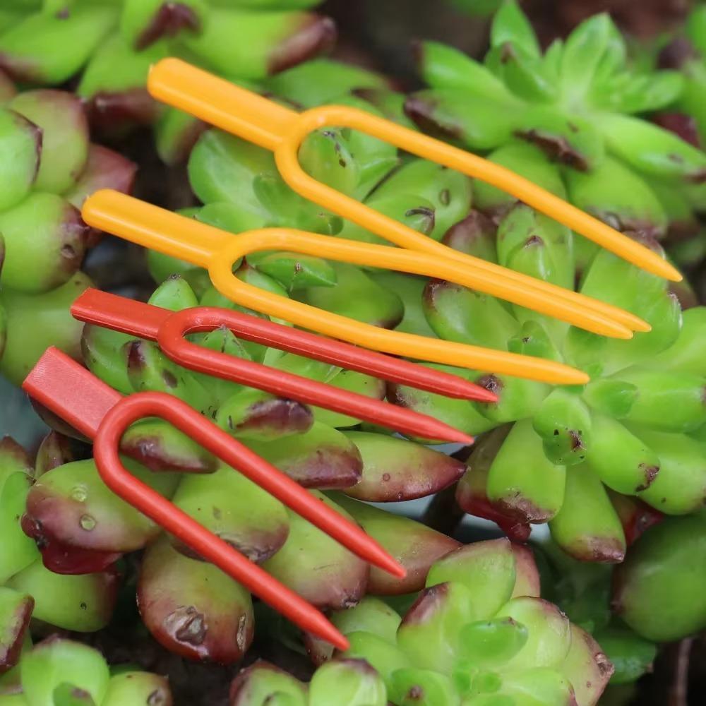 100 шт. вилки для посадки садовой клубники 50/65 см, фиксатор лозы, многоразовый фиксатор стебля растения